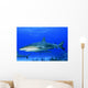 Caribbean Reef Sharks Bahamas Wall Decal