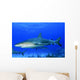 Caribbean Reef Sharks Bahamas Wall Decal