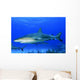 Caribbean Reef Sharks Bahamas Wall Decal