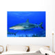 Caribbean Reef Sharks Bahamas Wall Decal