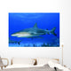 Caribbean Reef Sharks Bahamas Wall Decal