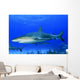 Caribbean Reef Sharks Bahamas Wall Decal