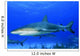 Caribbean Reef Sharks Bahamas Wall Decal