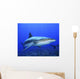 Caribbean Reef Shark Wall Decal