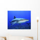 Caribbean Reef Shark Wall Decal
