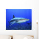 Caribbean Reef Shark Wall Decal