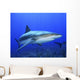 Caribbean Reef Shark Wall Decal