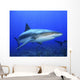 Caribbean Reef Shark Wall Decal