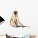 Monkey Wall Decal