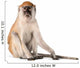 Monkey Wall Decal