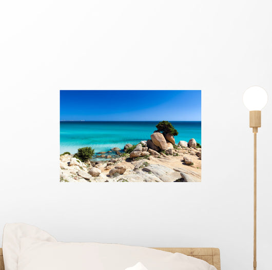 Spiaggia Di Notteri Wall Decal