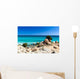Spiaggia Di Notteri Wall Decal