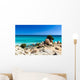 Spiaggia Di Notteri Wall Decal