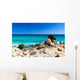 Spiaggia Di Notteri Wall Decal