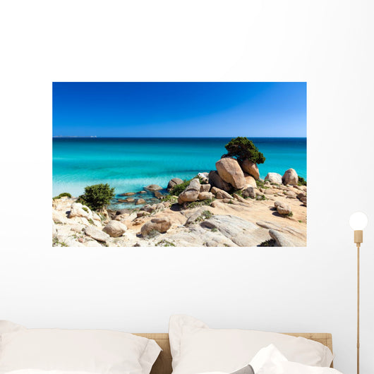 Spiaggia Di Notteri Wall Decal