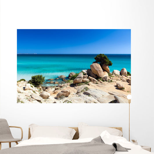 Spiaggia Di Notteri Wall Decal