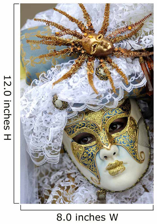 Venitian Mask for the Carnival of Venice Wall Decal