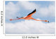 Flamingo Flight Wall Decal