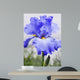 Purple Bearded Iris Wall Decal
