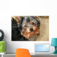 Yorkshire Terrier Wall Decal