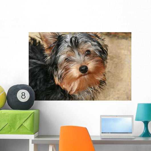 Yorkshire Terrier Wall Decal