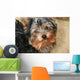 Yorkshire Terrier Wall Decal