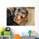Yorkshire Terrier Wall Decal
