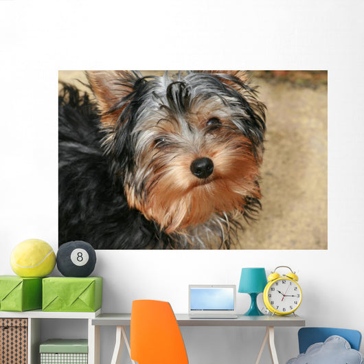 Yorkshire Terrier Wall Decal