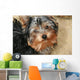 Yorkshire Terrier Wall Decal