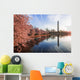 Cherry Blossoms Peak Bloom Wall Decal