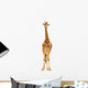 Giraffe Full Height Wall Decal