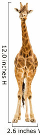 Giraffe Full Height Wall Decal