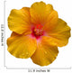 Hibiscus Wall Decal