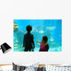 Children Amazed Aquarium Wall Decal