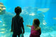 Children Amazed Aquarium Wall Decal