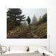 Man Running High Mountain Wall Decal