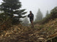Man Running High Mountain Wall Decal