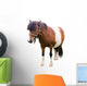 Brown and White Pony Wall Decal