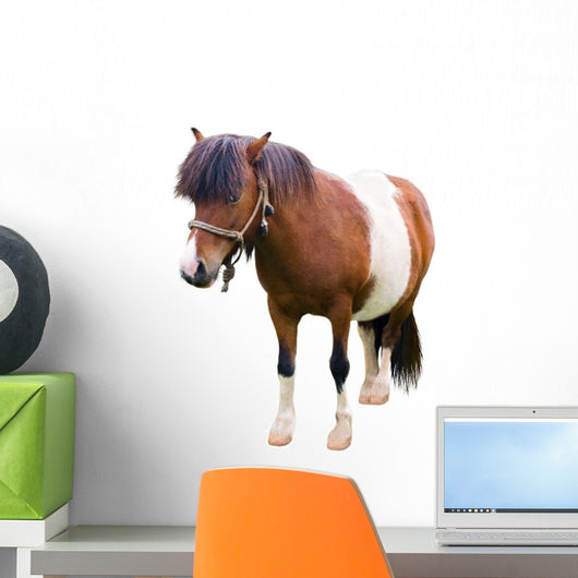 Brown and White Pony Wall Decal