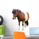 Brown and White Pony Wall Decal