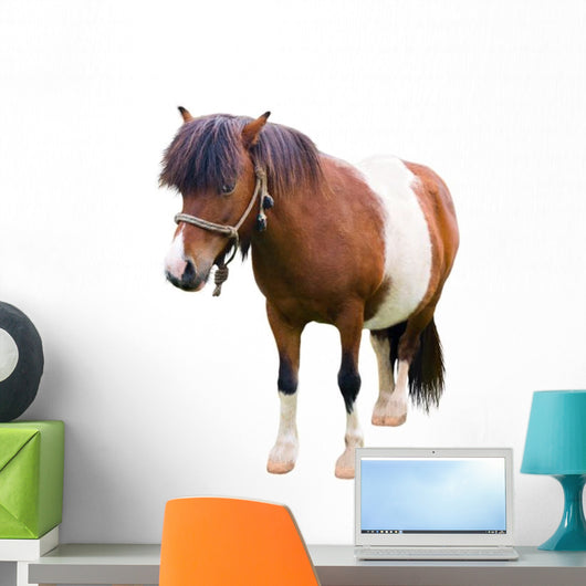 Brown and White Pony Wall Decal