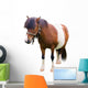 Brown and White Pony Wall Decal