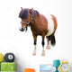 Brown and White Pony Wall Decal