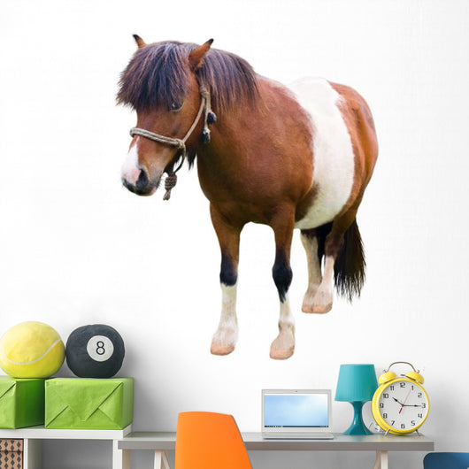 Brown and White Pony Wall Decal