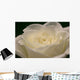 White Rose Close-up Wall Decal