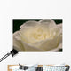 White Rose Close-up Wall Decal