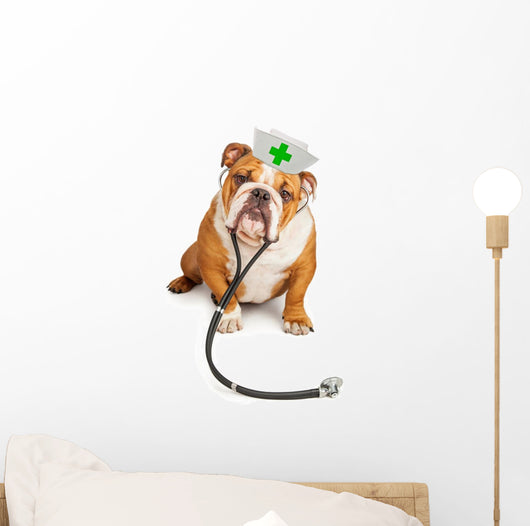 Bulldog Nurse with Stethoscope Wall Decal