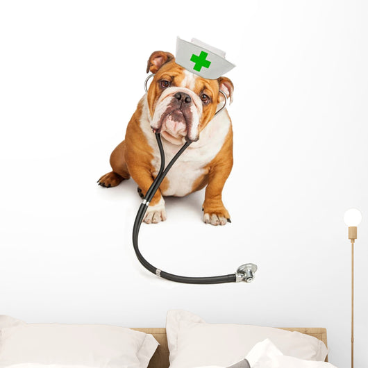 Bulldog Nurse with Stethoscope Wall Decal
