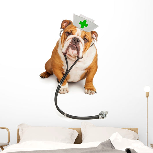 Bulldog Nurse with Stethoscope Wall Decal