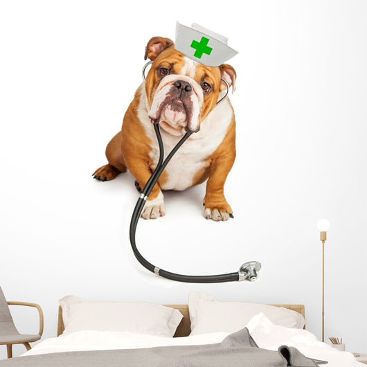 Bulldog Nurse with Stethoscope Wall Decal